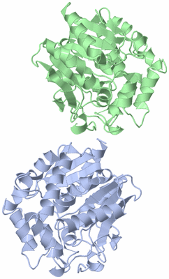 Image Asymmetric Unit