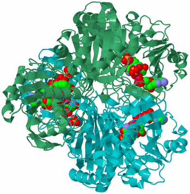 Image Biological Unit 1