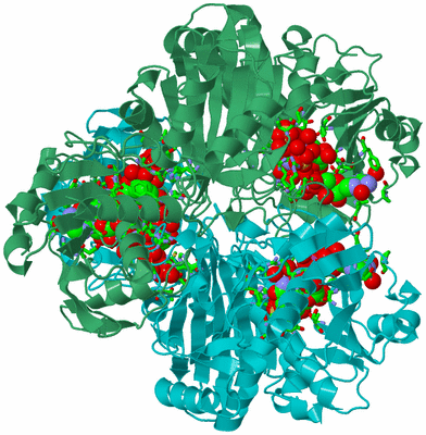 Image Biol. Unit 1 - sites