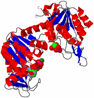 Image Asym./Biol. Unit