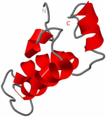 Image NMR Structure - model 1