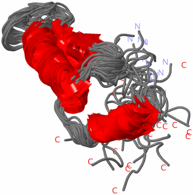 Image NMR Structure - all models