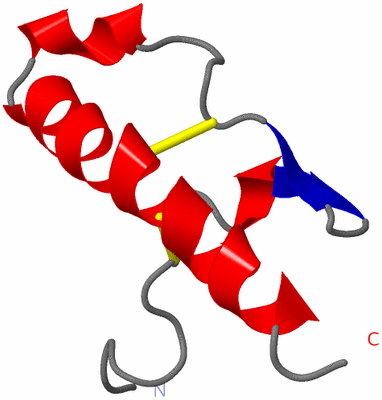 Image NMR Structure - model 1