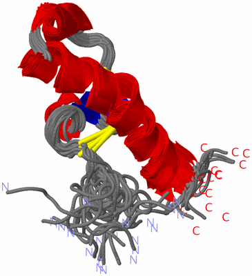 Image NMR Structure - all models