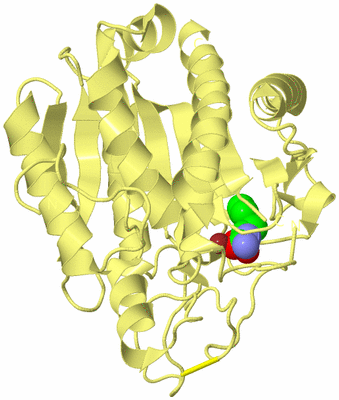 Image Biological Unit 3