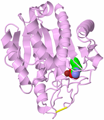 Image Biological Unit 4