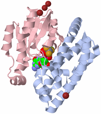 Image Biological Unit 1