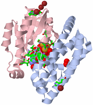 Image Biol. Unit 1 - sites