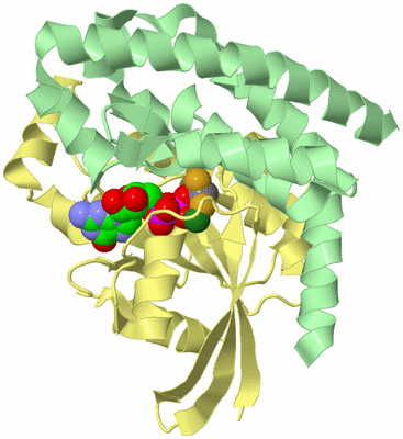 Image Biological Unit 2