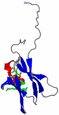 Image Asym. Unit - sites