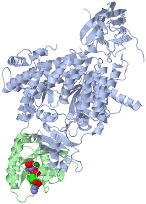 Image Asym./Biol. Unit