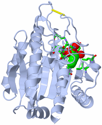 Image Biol. Unit 1 - sites