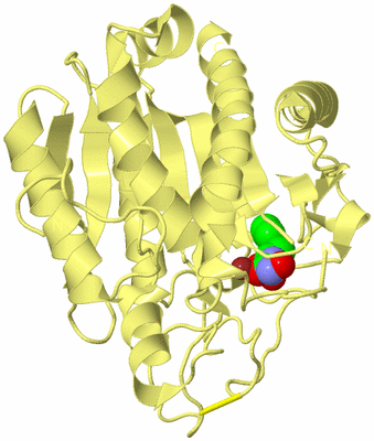 Image Biological Unit 3