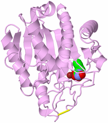 Image Biological Unit 4