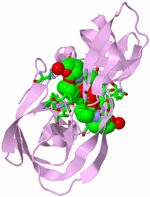 Image Biol. Unit 1 - sites