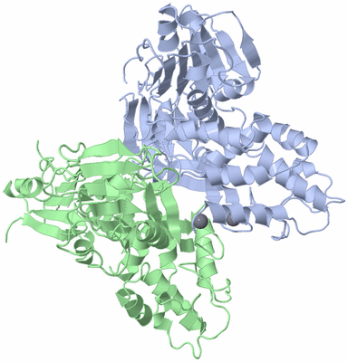 Image Asym./Biol. Unit