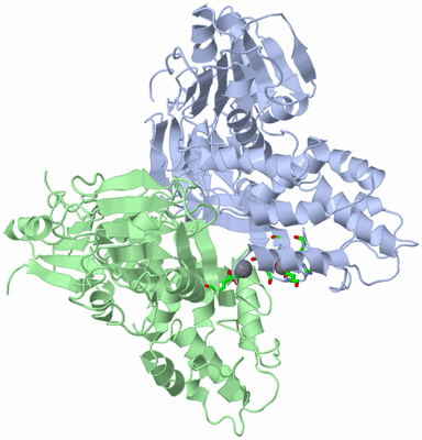 Image Asym./Biol. Unit - sites