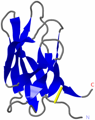 Image NMR Structure - model 1