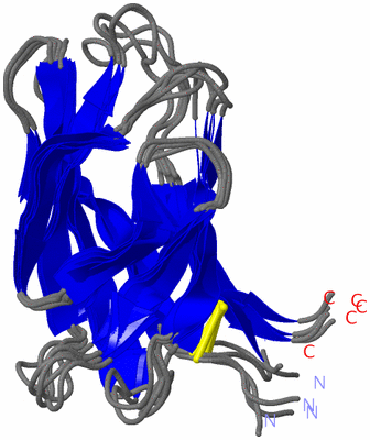 Image NMR Structure - all models