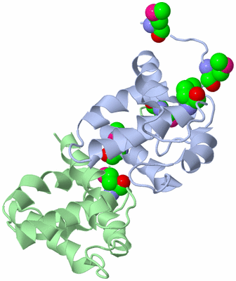Image Asymmetric Unit