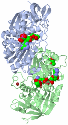 Image Asym./Biol. Unit