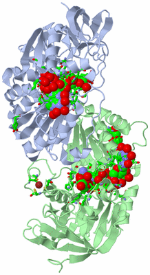 Image Asym./Biol. Unit - sites