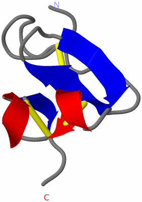 Image NMR Structure - model 1