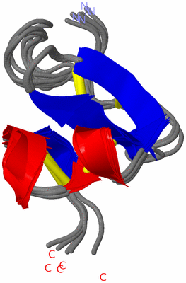 Image NMR Structure - all models