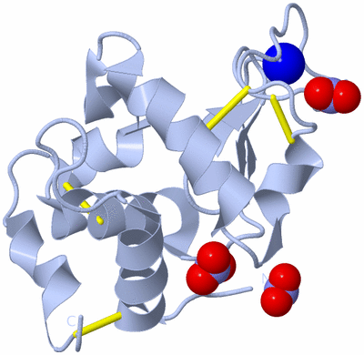 Image Biological Unit 1