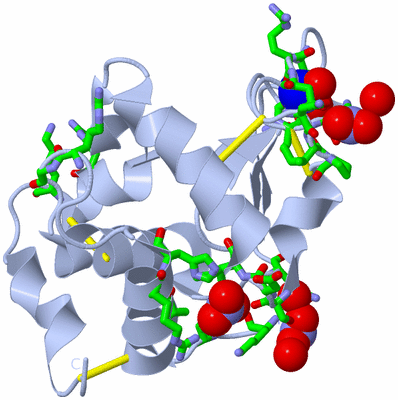 Image Biol. Unit 1 - sites