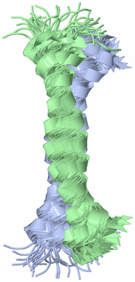 Image NMR Structure - all models