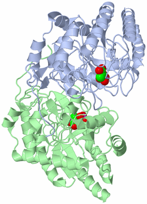 Image Biological Unit 1