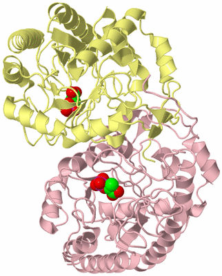 Image Biological Unit 2