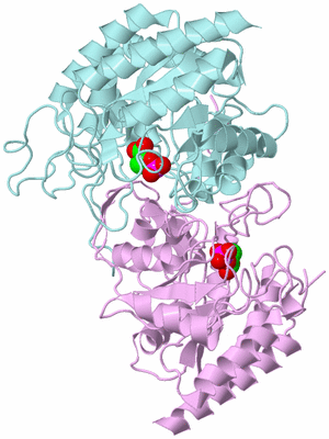 Image Biological Unit 3