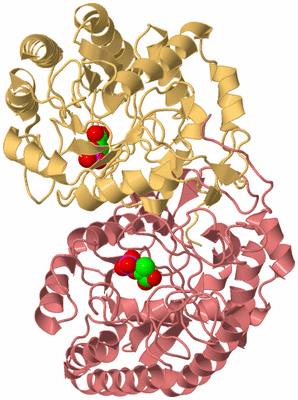 Image Biological Unit 4