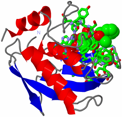 Image Asym./Biol. Unit - sites