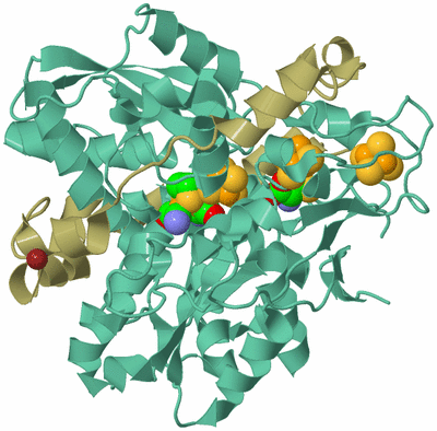 Image Biological Unit 1