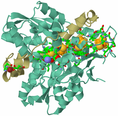 Image Biol. Unit 1 - sites