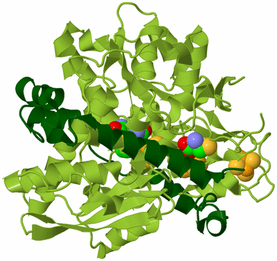 Image Biological Unit 2