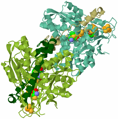 Image Biological Unit 3