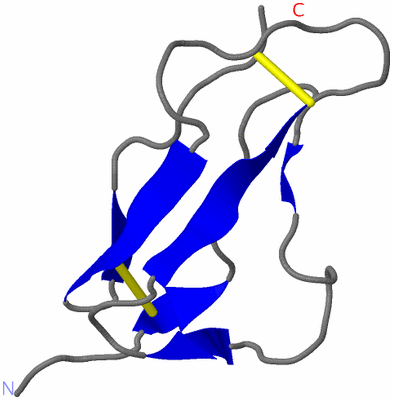 Image NMR Structure - model 1