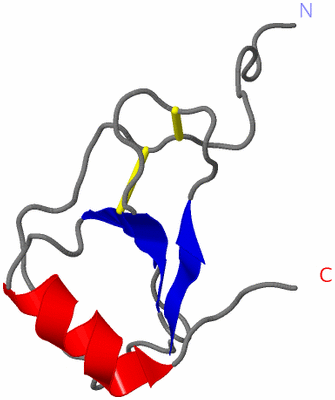 Image NMR Structure - model 1