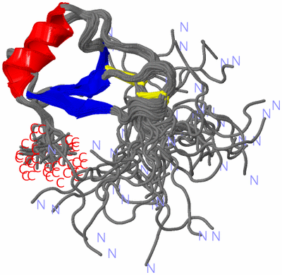 Image NMR Structure - all models