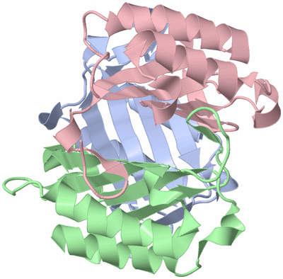 Image Biological Unit 1