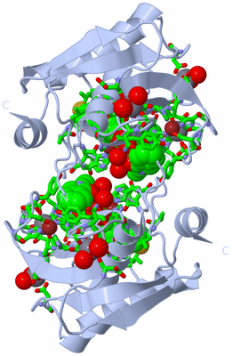 Image Biol. Unit 1 - sites