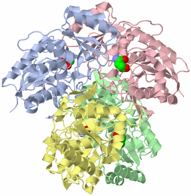 Image Asym./Biol. Unit