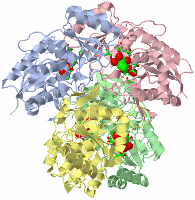 Image Asym./Biol. Unit - sites