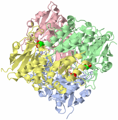 Image Asym./Biol. Unit