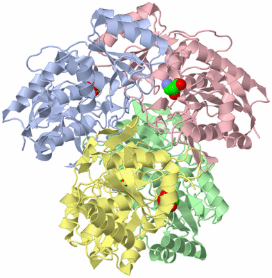 Image Asym./Biol. Unit