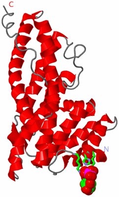 Image Asym. Unit - sites